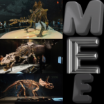 Mezezoic Era Exploration